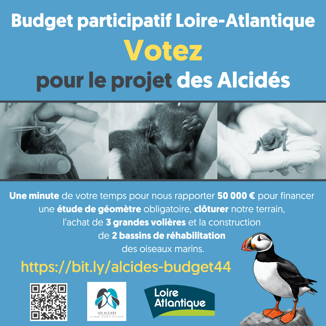 You are currently viewing Budgets participatifs du département, à vos votes !